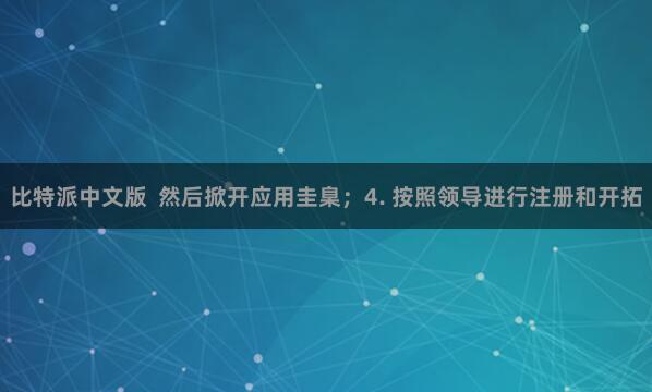 比特派中文版 然后掀开应用圭臬;4. 按照领导进行注册和开拓