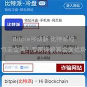 Bitpie移动版 比特派钱包安全吗？专家详解其全面优势