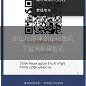 Bitpie币种 Bitpie钱包下载及使用指南