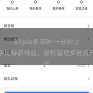 Bitpie多币种 一分钟上手比特派钱包，轻松管理多链资产