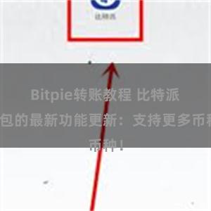 Bitpie转账教程 比特派钱包的最新功能更新：支持更多币种！