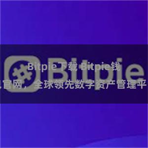 Bitpie下载 Bitpie钱包官网，全球领先数字资产管理平台