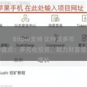 Bitpie支持 比特派多币种盘点：多元化投资，助力财富增长