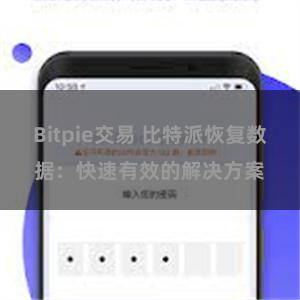 Bitpie交易 比特派恢复数据：快速有效的解决方案