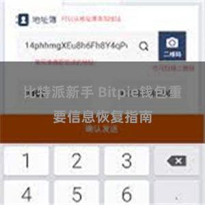 比特派新手 Bitpie钱包重要信息恢复指南