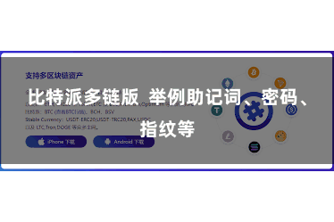 比特派多链版  举例助记词、密码、指纹等