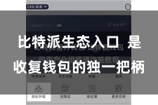 比特派生态入口  是收复钱包的独一把柄