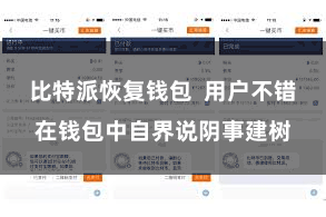 比特派恢复钱包  用户不错在钱包中自界说阴事建树