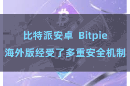 比特派安卓  Bitpie海外版经受了多重安全机制