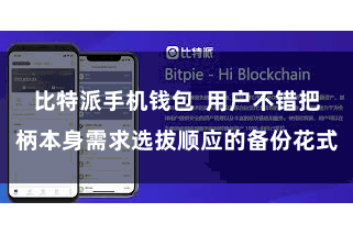 比特派手机钱包  用户不错把柄本身需求选拔顺应的备份花式