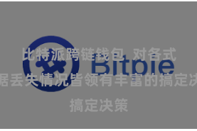 比特派跨链钱包  对各式数据丢失情况皆领有丰富的搞定决策