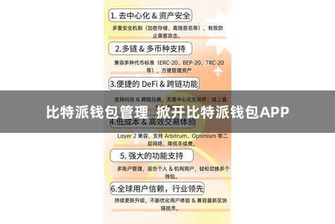 比特派钱包管理  掀开比特派钱包APP